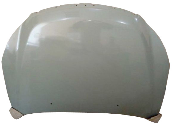 A21-8402010FL-DY درب موتور550 - Image 1